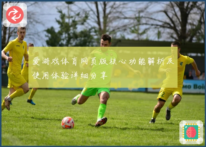 爱游戏体育网页版核心功能解析及使用体验详细分享