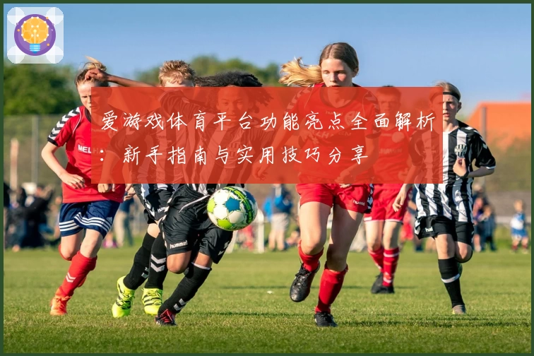 爱游戏体育平台功能亮点全面解析：新手指南与实用技巧分享