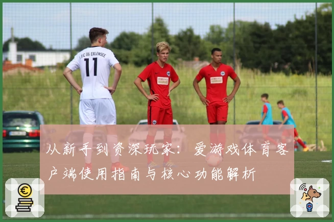 从新手到资深玩家：爱游戏体育客户端使用指南与核心功能解析